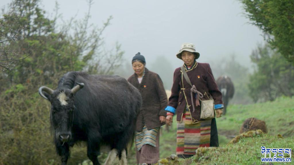 ? ??????????????????????????????